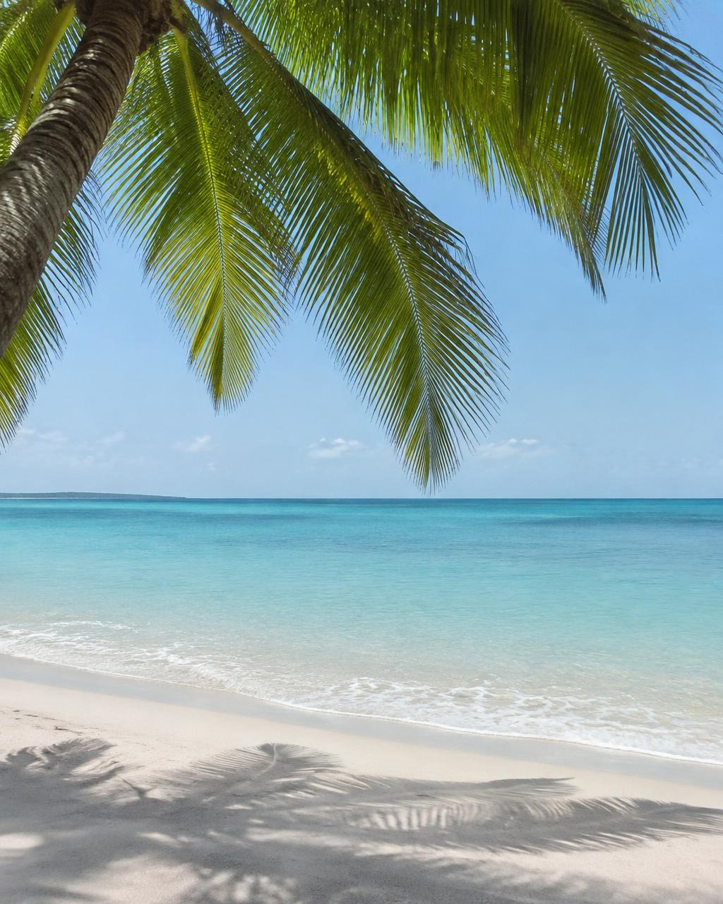 Quiet sandy beach with palm shade and clear turquoise water